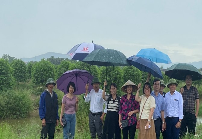 Kết quả kiểm tra đánh giá mô hình hoa đào phai cánh kép Thanh Hóa thuộc đề tài: “Nghiên cứu khai thác, phát triển nguồn gen  hoa Đào Sapa, Lào Cai và hoa Đào phai cánh kép Thanh Hóa theo hướng sản xuất hàng hóa”.