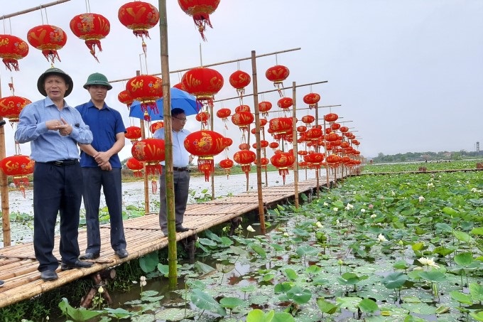 Biến đồng hoang thành đầm sen hút khách 