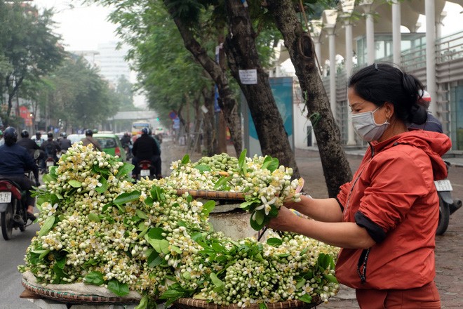 Kiếm bạc triệu nhờ bán hoa theo lạng trên phố Hà Nội