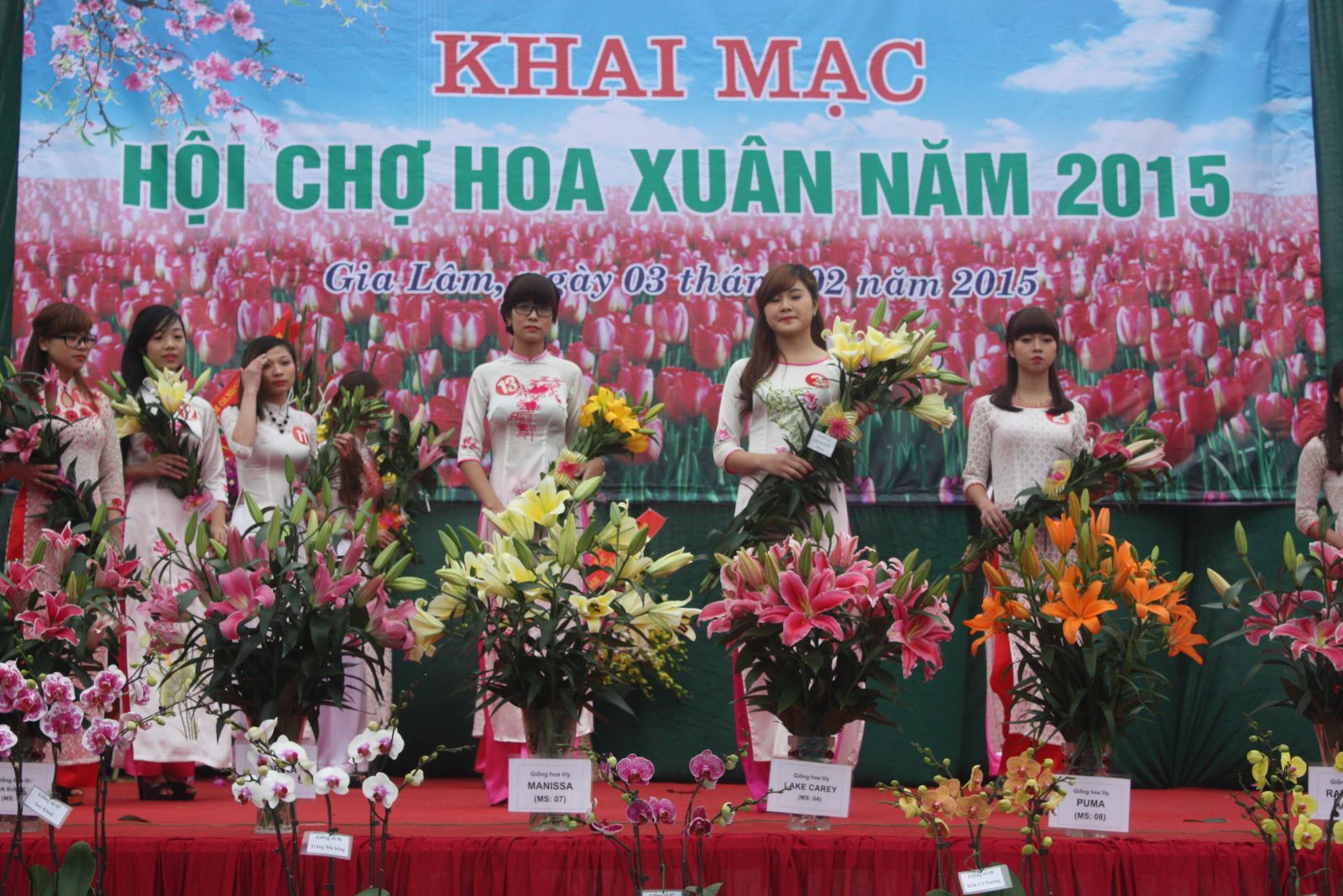 Hội chợ hoa xuân Gia Lâm 2015 - Điểm đến lý tưởng cho người trồng và chơi hoa