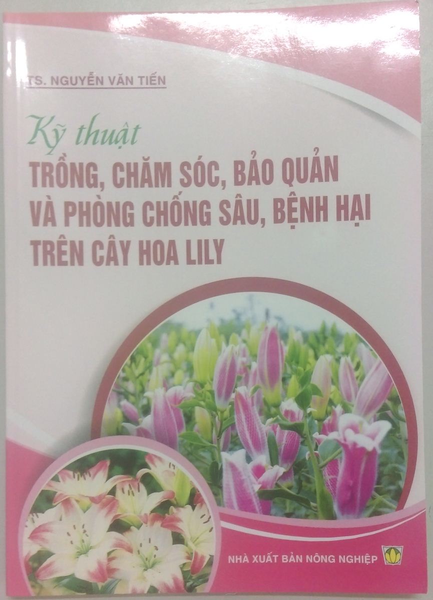 KỸ THUẬT TRỒNG, CHĂM SÓC, BẢO QUẢN VÀ PHÒNG CHỐNG SÂU, BỆNH HẠI TRÊN CÂY HOA LILY