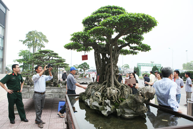 Festival sinh vật cảnh Thủ Đô lần thứ nhất thành công rực rỡ nhất-ít khuyết điểm nhất