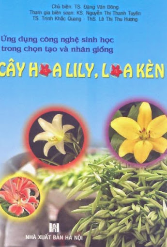 Ứng dụng công nghệ sinh học trong chọn tạo và nhân giống cây hoa Lily, Loa kèn