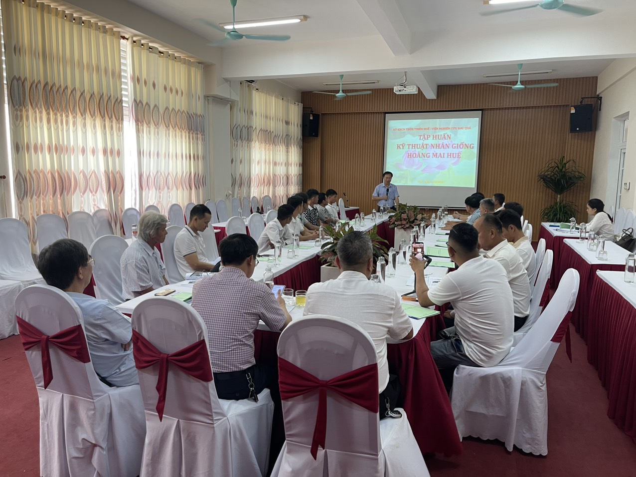 Tập huấn kỹ thuật nhân giống, trồng, chăm sóc cây hoa mai vàng Huế tại thành phố Huế, tỉnh Thừa Thiên Huế