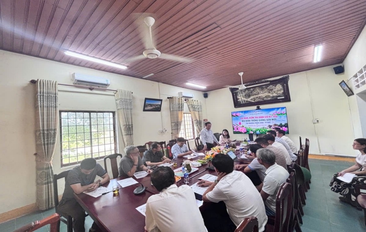Hội nghị đánh giá mô hình thử nghiệm các giống sen mới của Viện Nghiên cứu Rau quả tại thành phố Huế